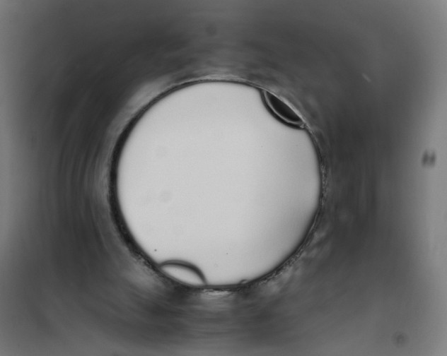 X0000101680055200808071118