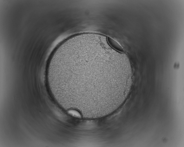 X0000101680056200808071119
