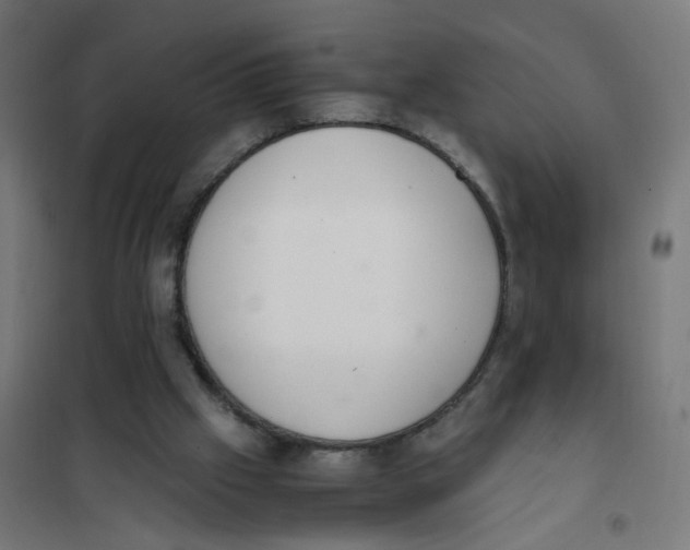 X0000101680057200808071119