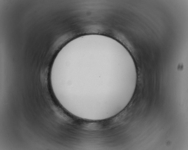 X0000101680058200808071119