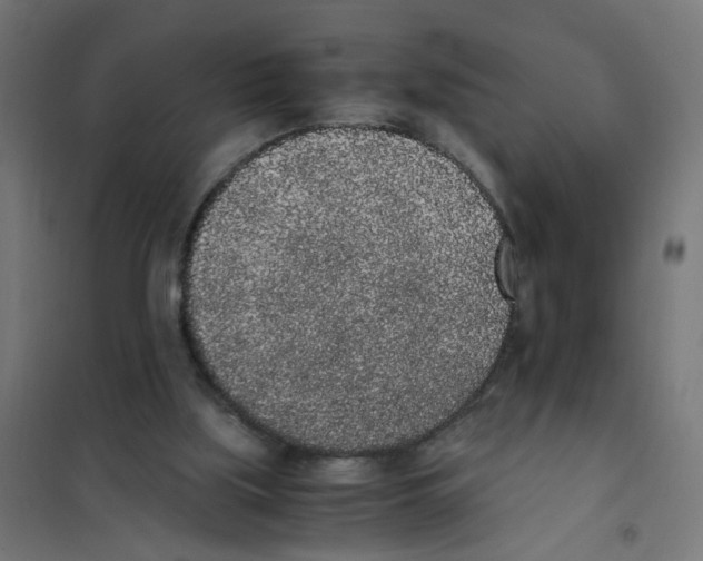 X0000101680059200808071119
