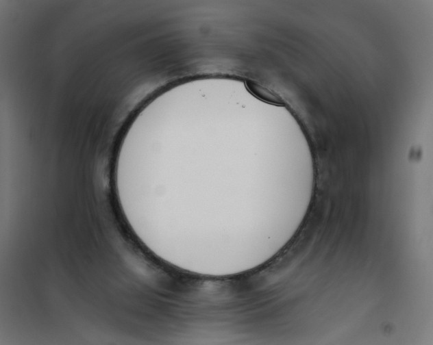X0000101680060200808071119