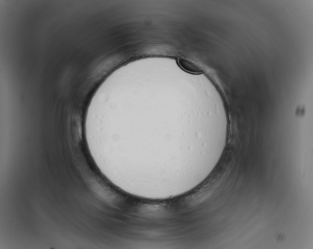 X0000101680061200808071119