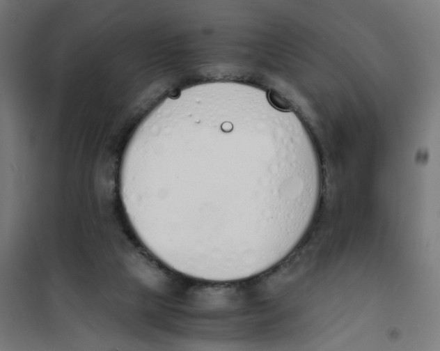 X0000101680065200808071119