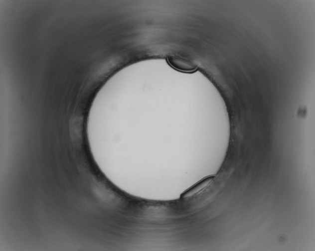 X0000101680066200808071119