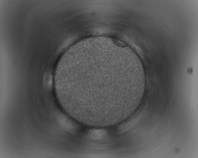 X0000101680067200808071119