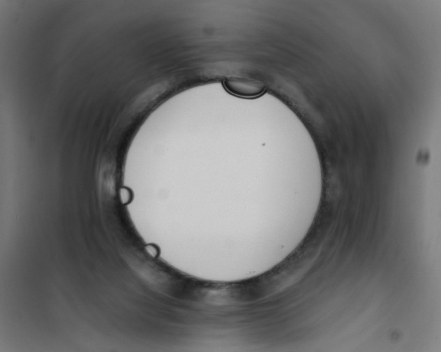X0000101680068200808071119