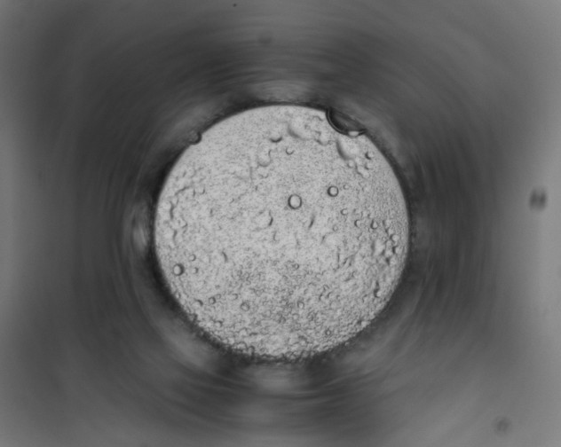 X0000101680069200808071119