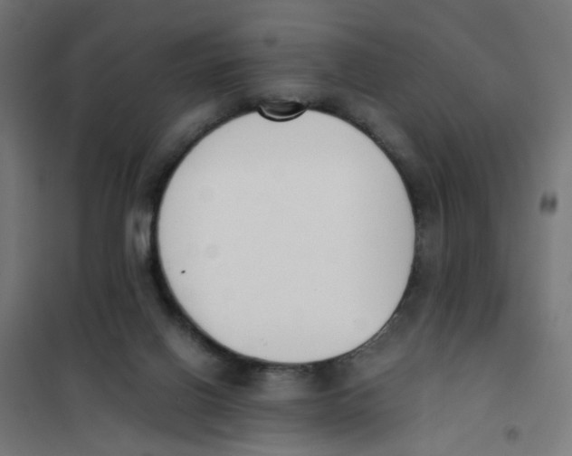 X0000101680070200808071119