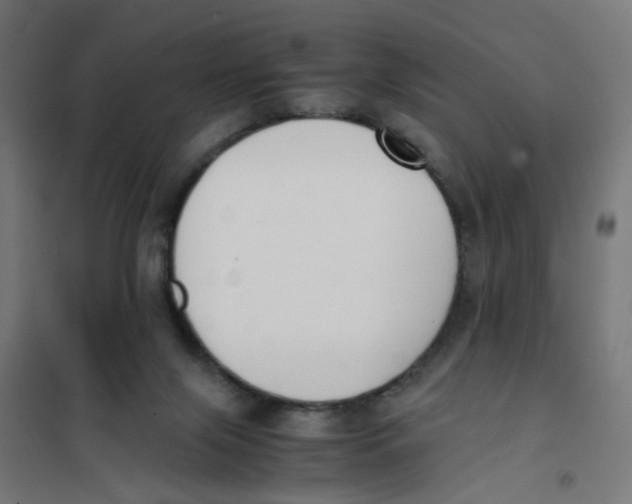 X0000101680071200808071119