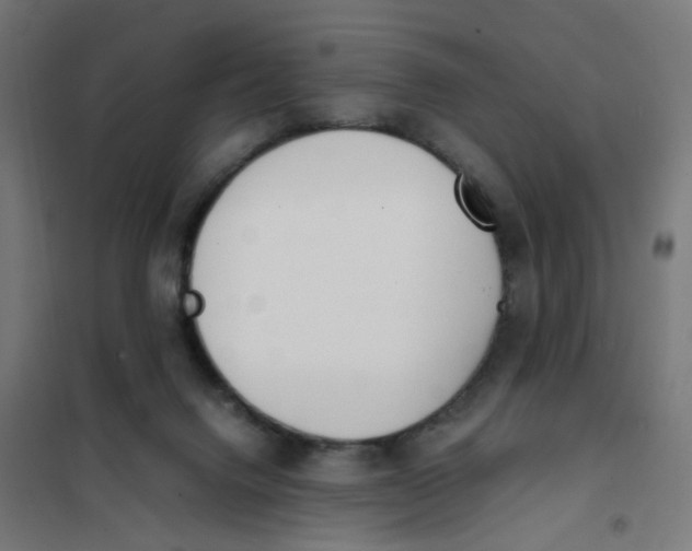 X0000101680072200808071119