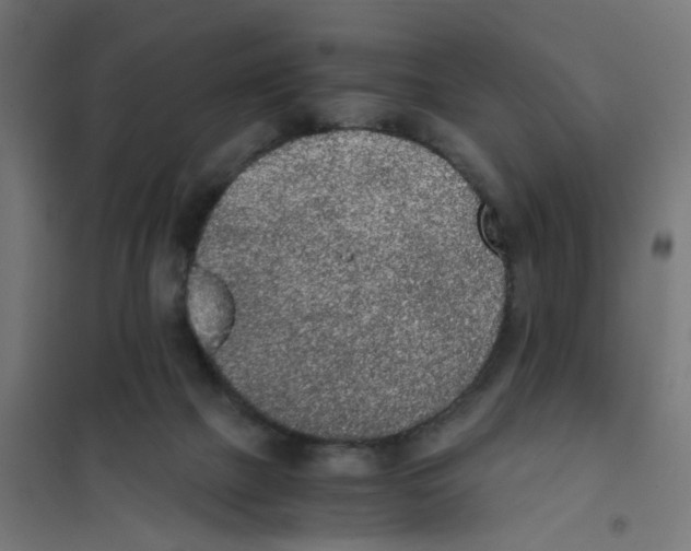 X0000101680073200808071119