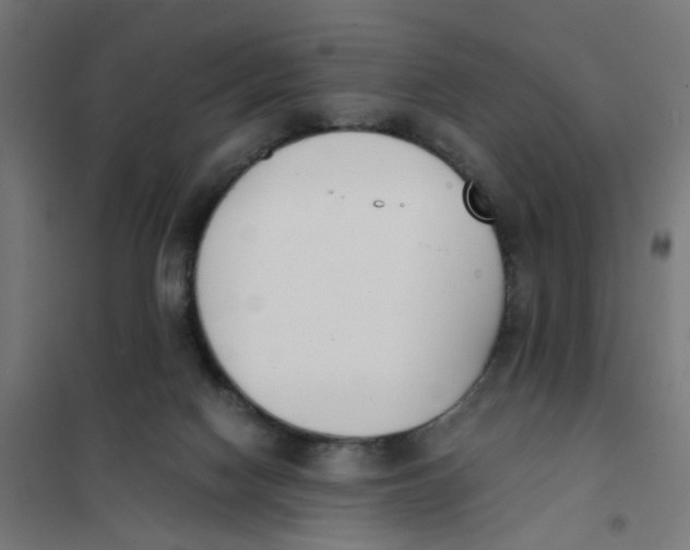 X0000101680074200808071119