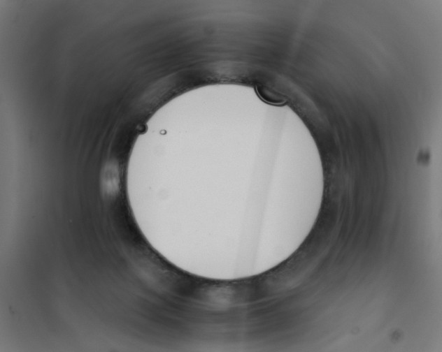 X0000101680075200808071119