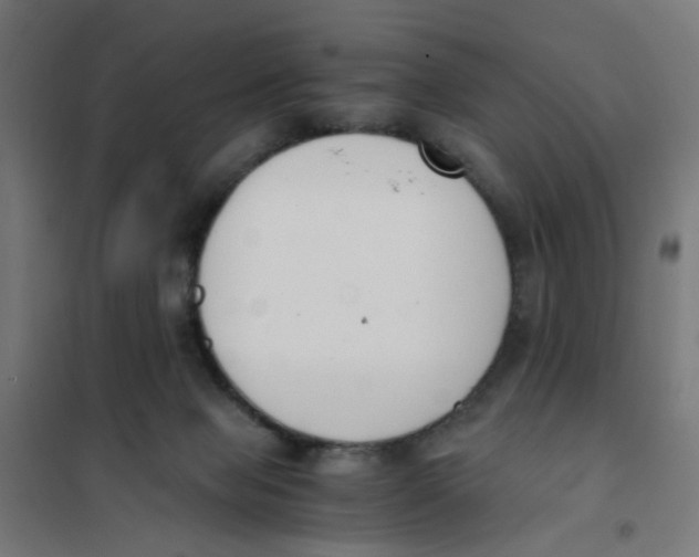 X0000101680077200808071119