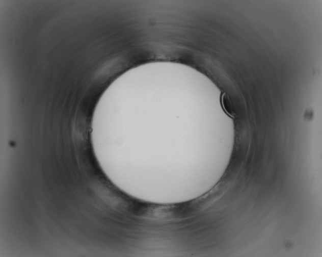 X0000101680078200808071119