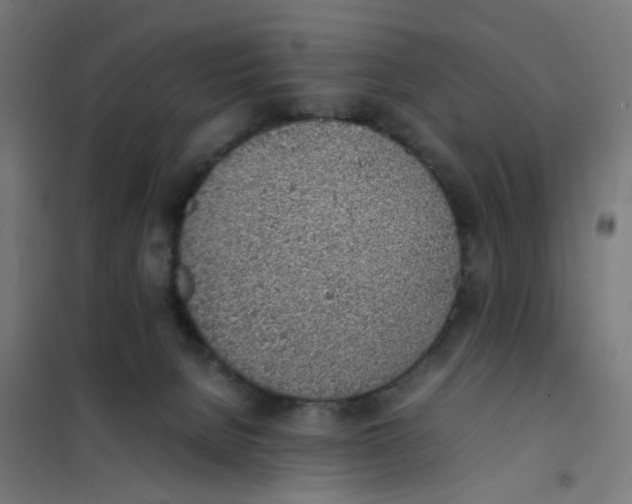 X0000101680080200808071119