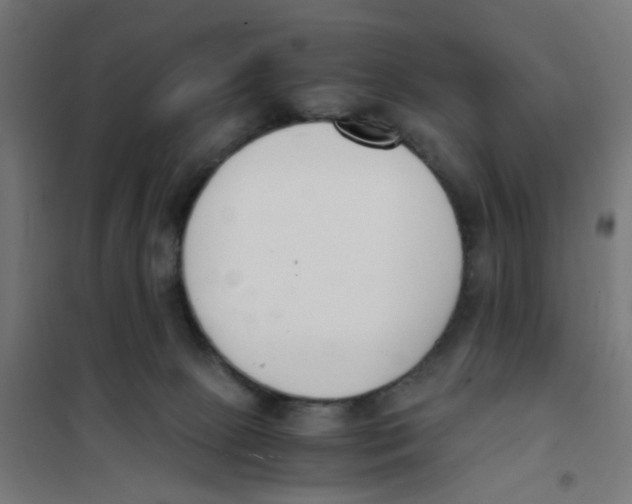 X0000101680081200808071119