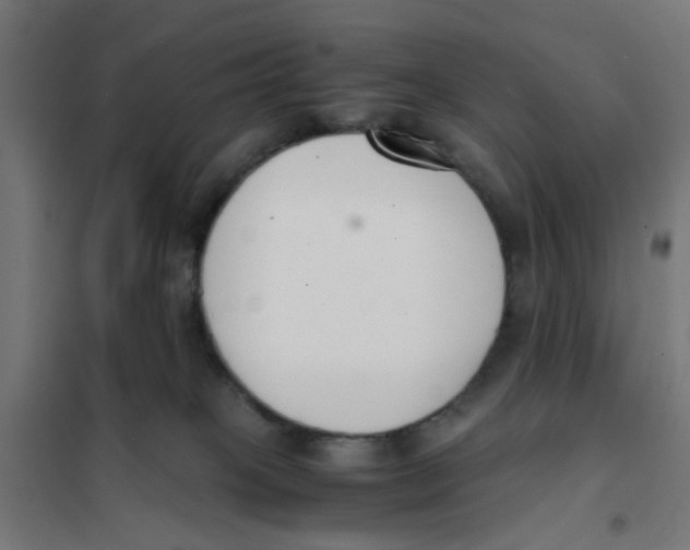 X0000101680085200808071119