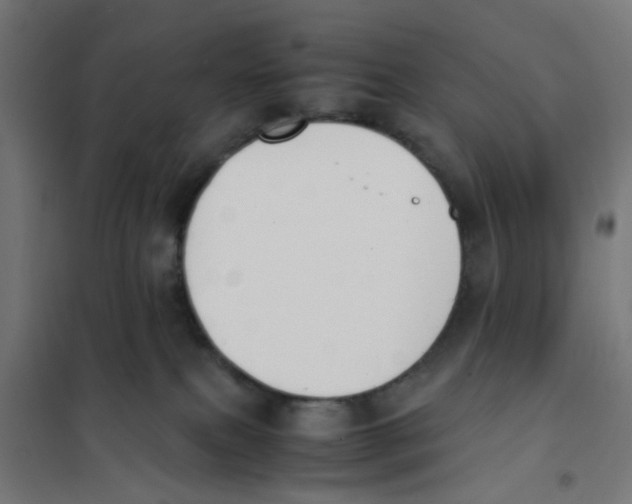 X0000101680087200808071119