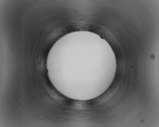 X0000101680088200808071119