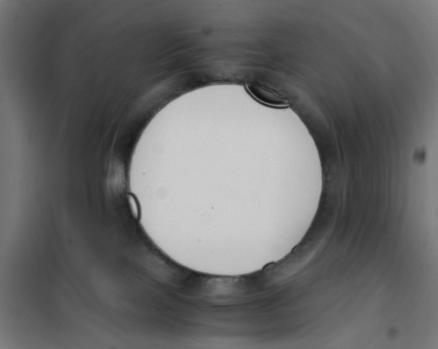 X0000101680089200808071119
