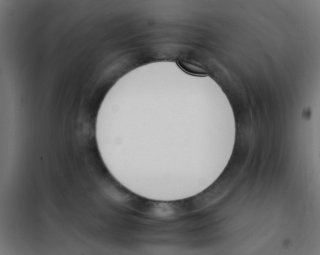 X0000101680091200808071119