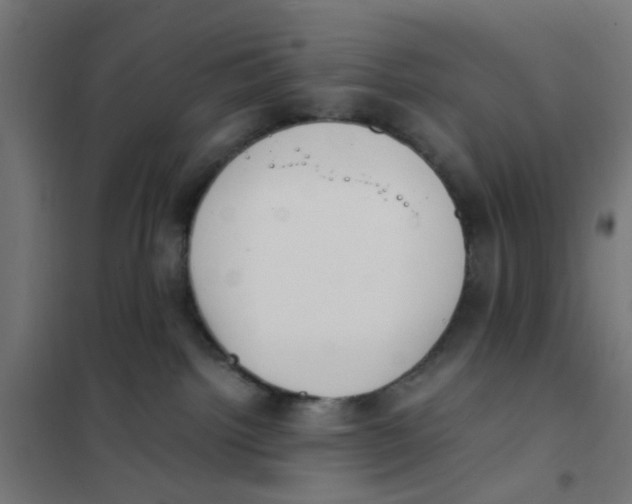 X0000101680092200808071119