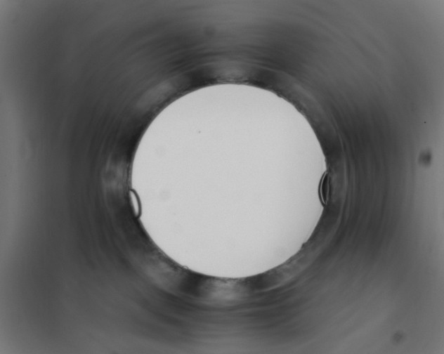 X0000101680093200808071119