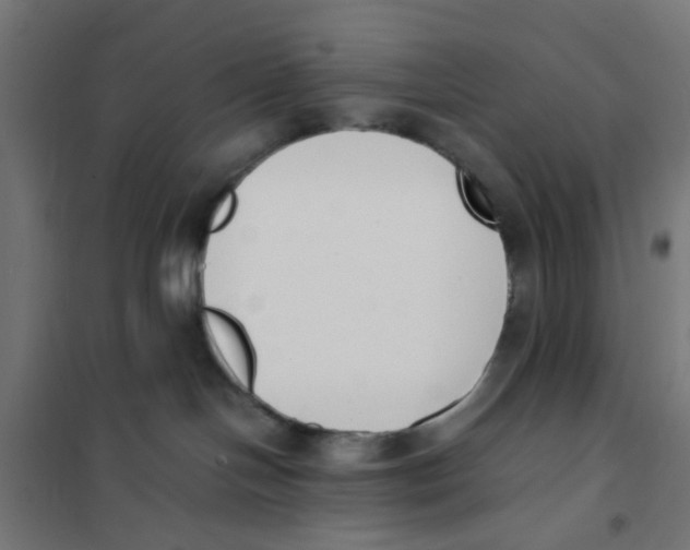X0000101680094200808071119