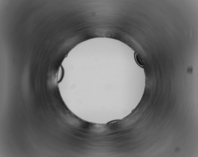 X0000101680095200808071119