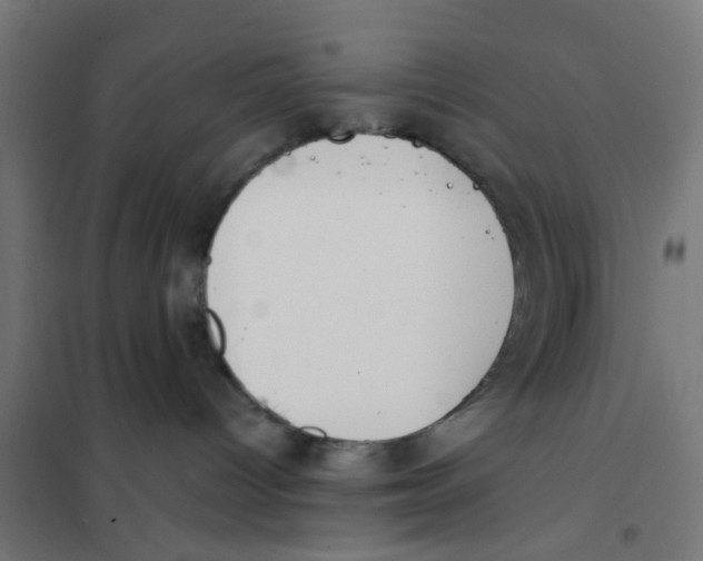 X0000101680096200808071119