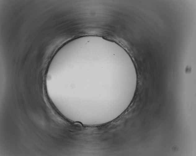 X0000101680097200808071118