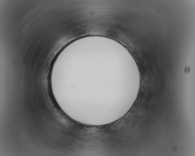 X0000101680098200808071118