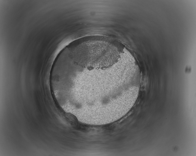 X0000101680099200808071118