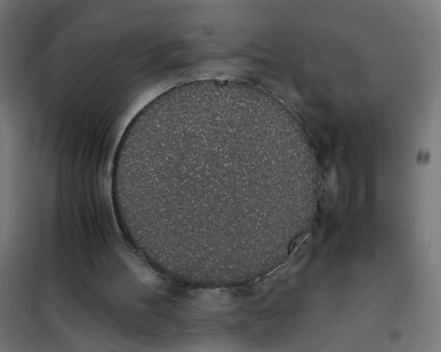 X0000101680100200808071118