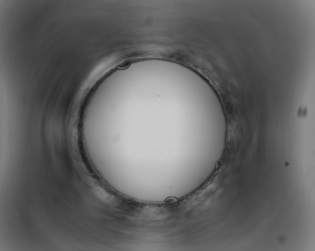 X0000101680101200808071118