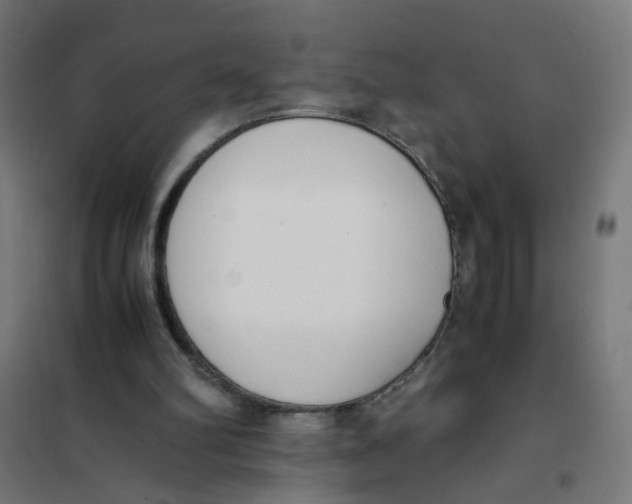 X0000101680102200808071118