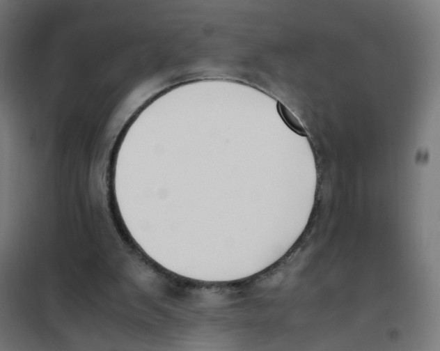 X0000101680103200808071118
