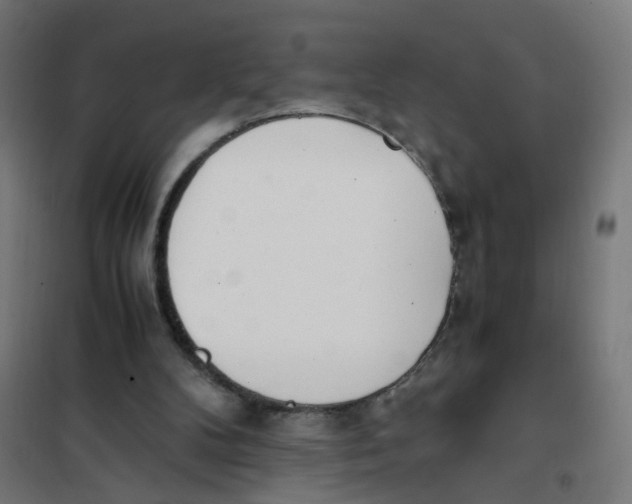 X0000101680104200808071118