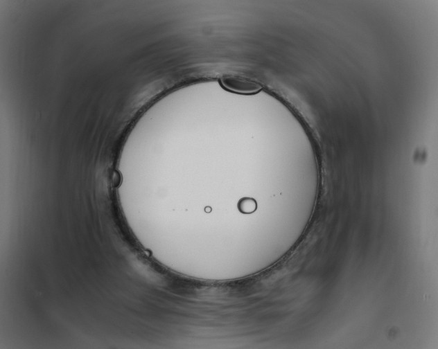 X0000101680105200808071118