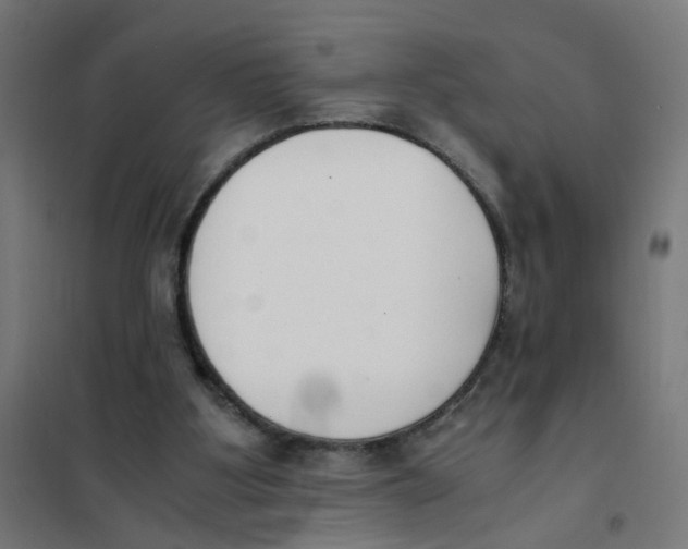 X0000101680107200808071118