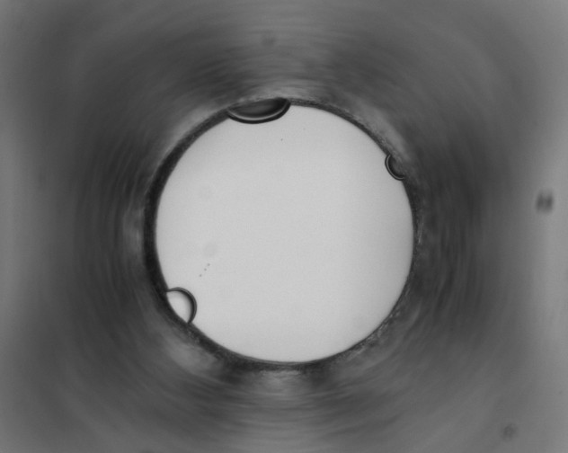 X0000101680108200808071118