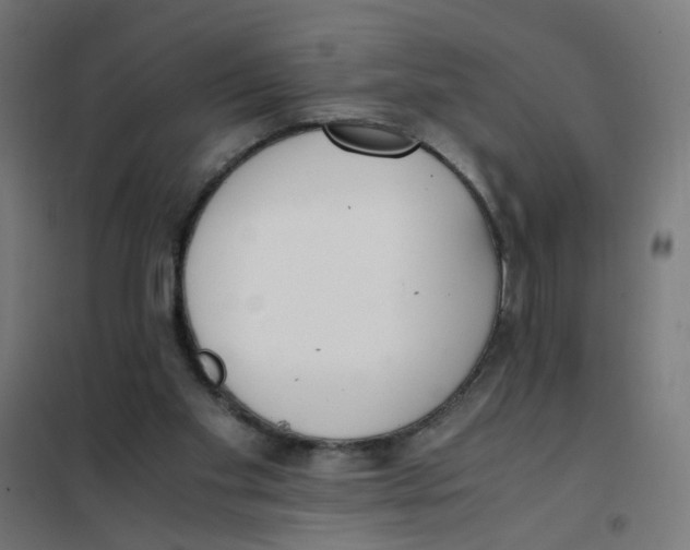 X0000101680109200808071118