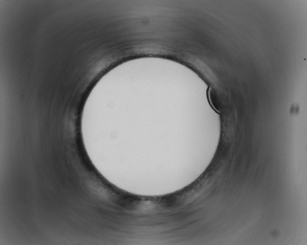 X0000101680111200808071118