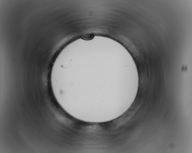 X0000101680112200808071118