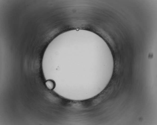 X0000101680113200808071118
