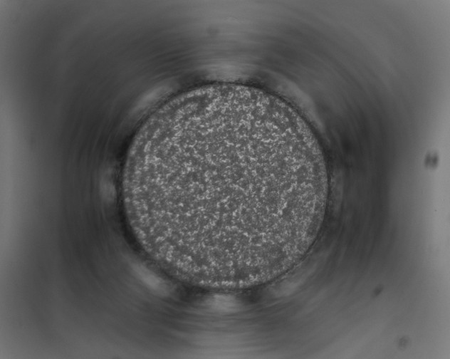 X0000101680114200808071118