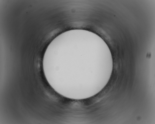 X0000101680115200808071118