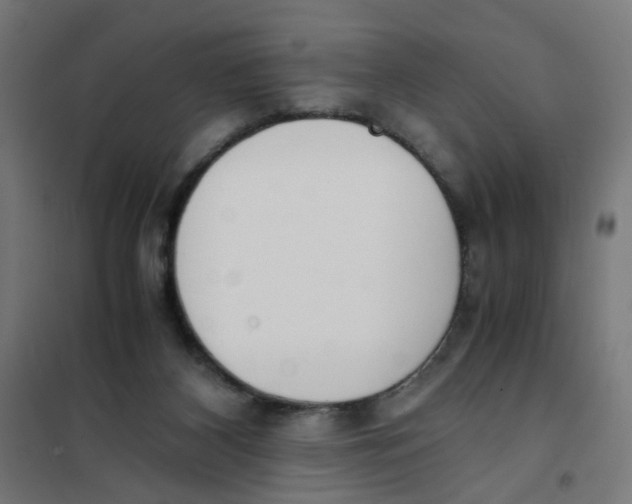 X0000101680116200808071118